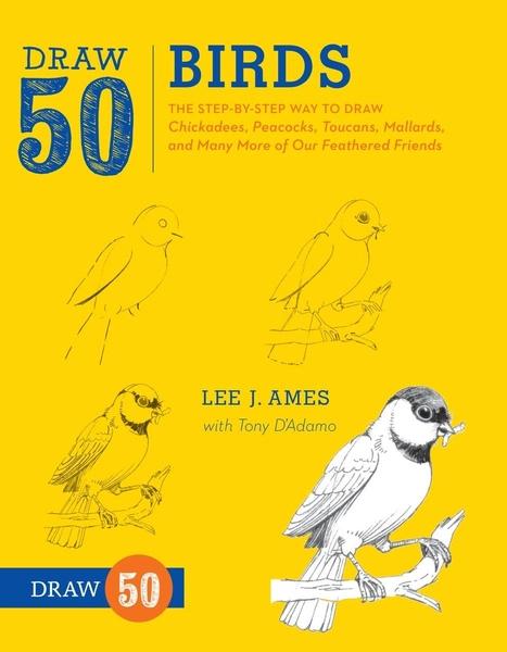 Draw 50 Birds by Lee J Ames