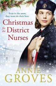 Christmas for the District Nurses by Annie Groves