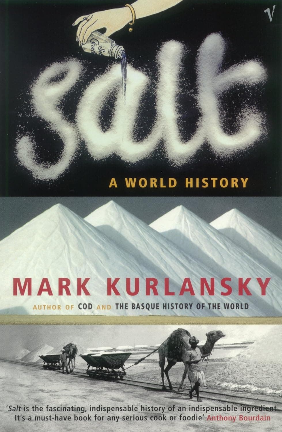 Salt : A World History by Mark Kurlansky