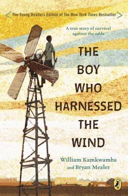 The Boy Who Harnessed the Wind by Steven Pinker
