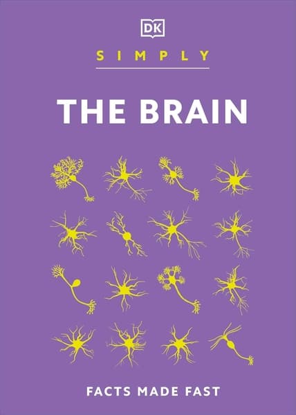 Simply The Brain by Dk Publishing