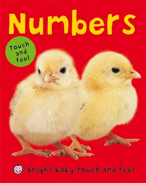Bright Baby Touch & Feel Numbers by Roger Priddy
