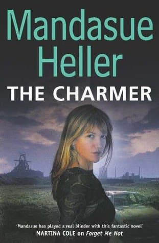 The Charmer by Mandasue Heller