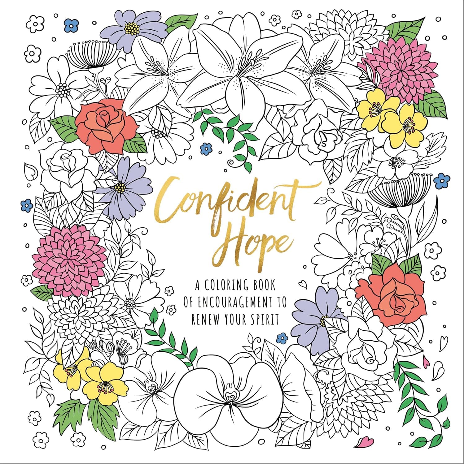 Confident Hope: A Coloring Book of Encouragement to Renew Your Spirit by Ink and Willow