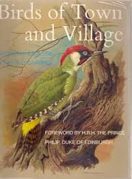 Birds Of Town And Village by H.R.H