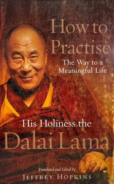 How To Practise: The Way to a Meaningful Life by Dalai Lama
