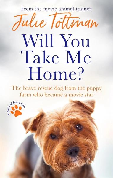 Will You Take Me Home? by Julie Tottman