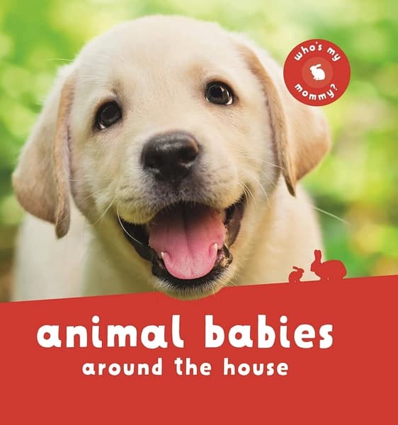 Animal Babies Around the House by Kingfisher