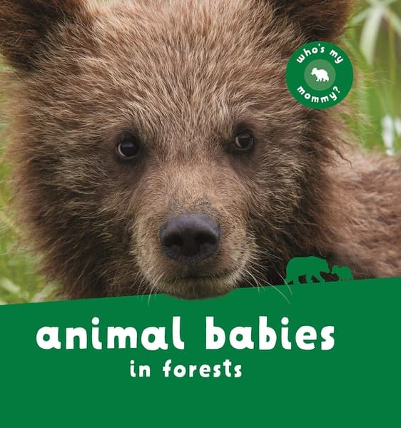 Animal Babies in Forests by Kingfisher