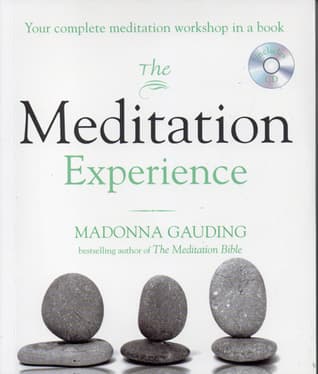 The Meditation Experience by Madonna Gauding