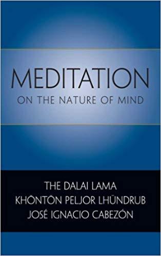 Meditation on the Nature of Mind by Jose Ignacio Cabezon, Khonton Peljor Lhundrub