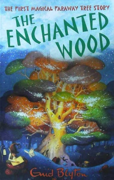 The Enchanted Wood by Ewidblytons