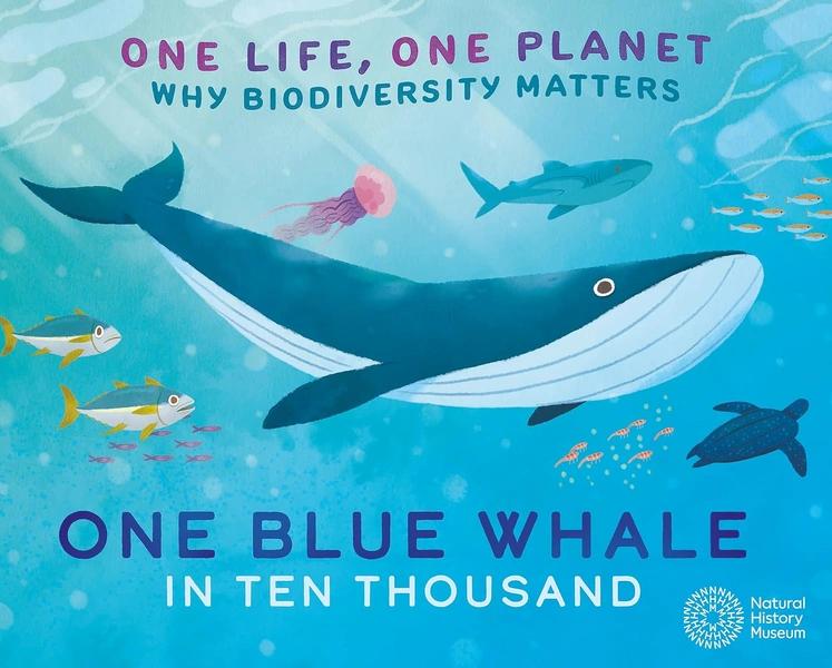 ONE LIFE ONE PLANET ONE BLUE WHALE IN by SARAH RIDLEY
