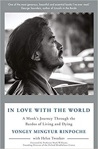 In Love with the World by Yongey Mingyur Rinpoche