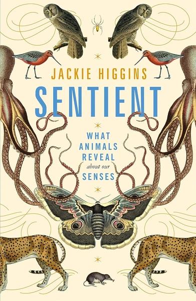 Sentient by Jackie Higgins