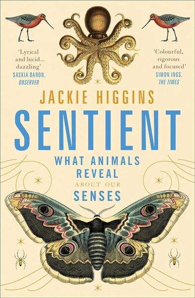 Sentient by Jackie Higgins