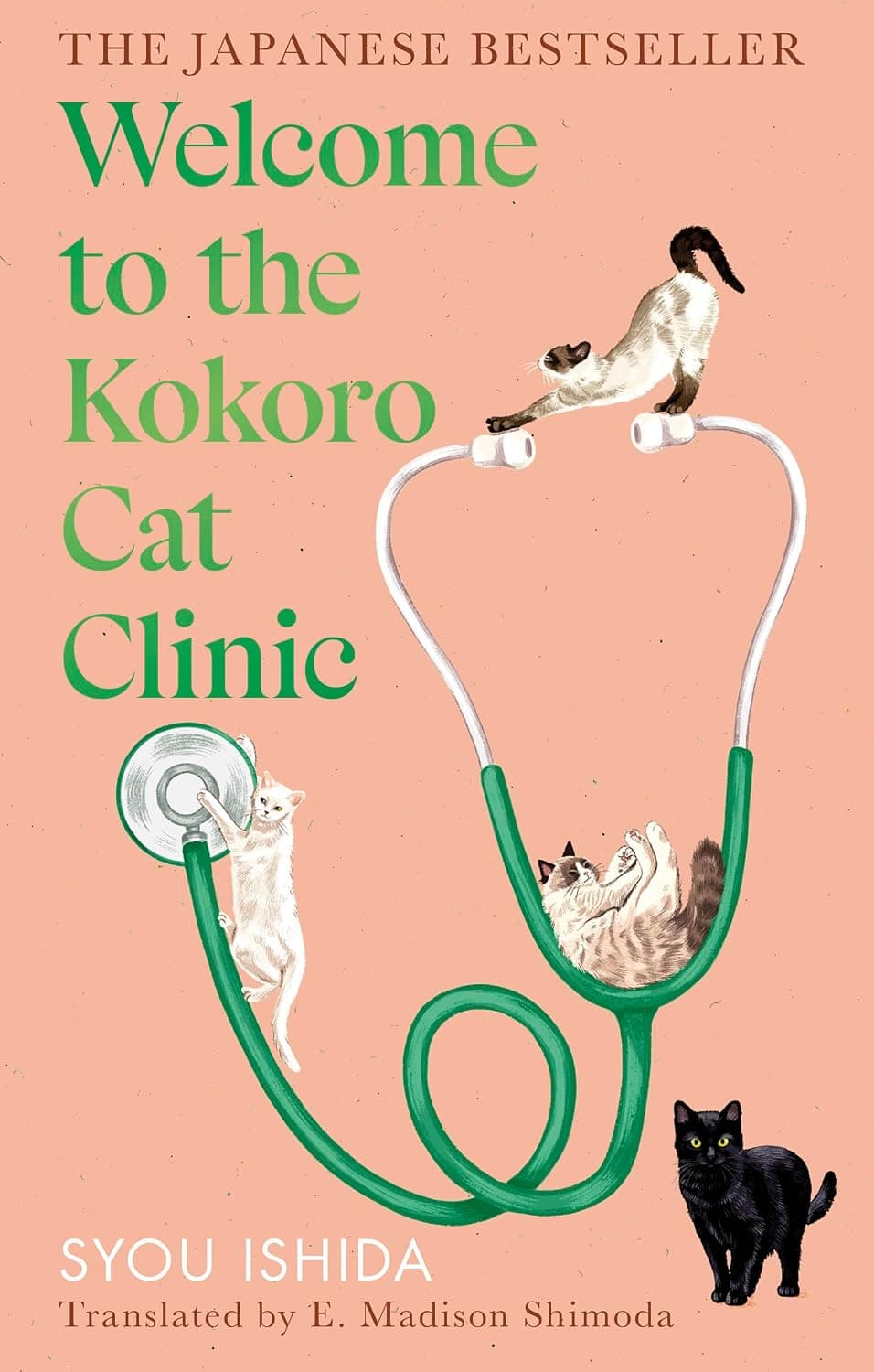 Welcome to the Kokoro Cat Clinic by Syou Ishida