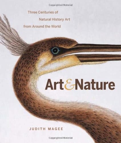Art and Nature by Judith Magee