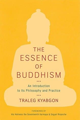 the essence of buddhism by Traleg Kyabgon