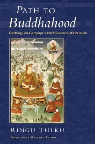 path to buddhahood by Ringu Tulku