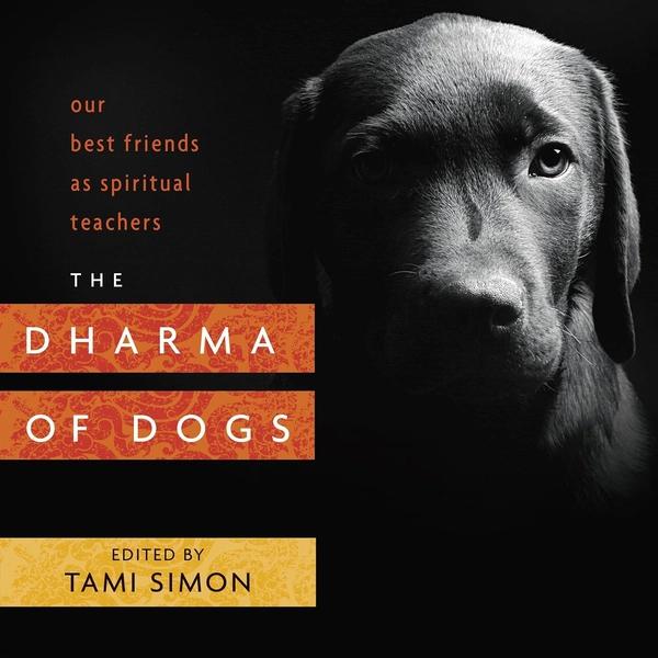 The Dharma of Dogs by Tami Simon