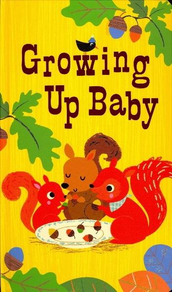 Growing Up Baby (Oversized) Board Book by Silver Dolphin Books