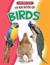 My big book of birds by Unassigned