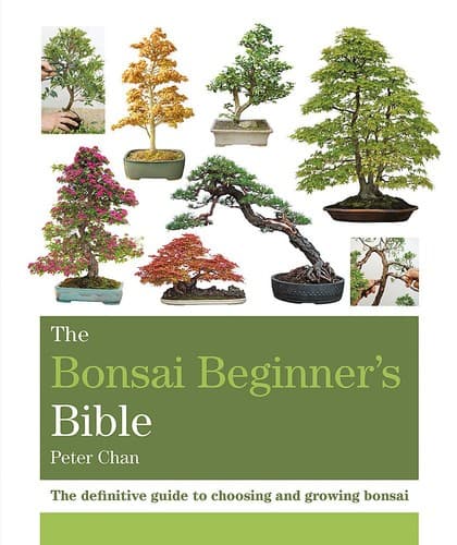 The Bonsai Beginner's Bible by Peter Chan