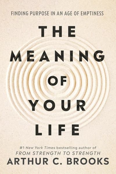 The Meaning of Your Life: Finding Purpose in an Age of Emptiness by Arthur C Brooks