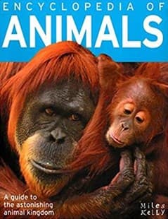 Encyclopedia of Animals by Unassigned