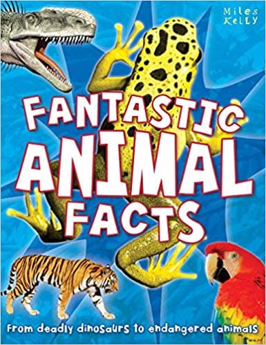 Fantastic Animal Facts by Miles Kelly