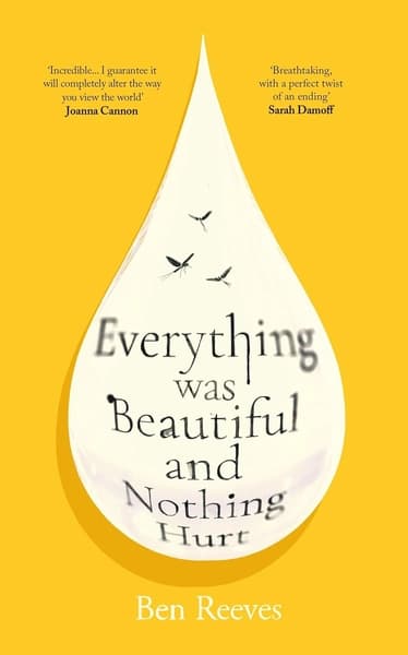 Everything was Beautiful and Nothing Hurt by Ben Reeves
