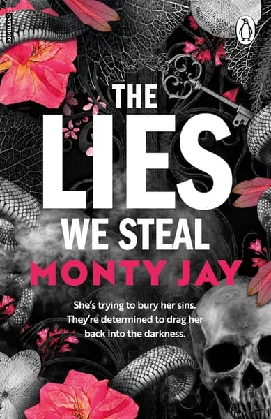 The Lies We Steal by Monty Jay