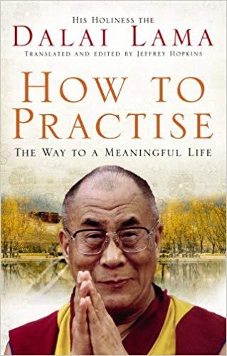 How to Practise by Dalai Lama Xiv