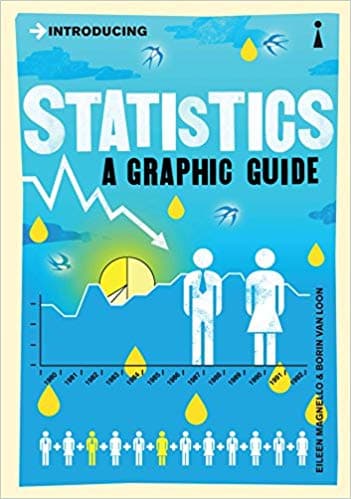 Introducing Statistics by Borin Van Loon, Eileen Magnello