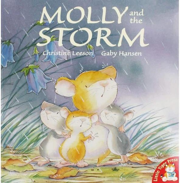 Molly and the Storm by Christine Leeson