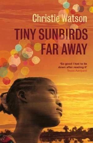 Tiny Sunbirds Far Away by Christie Watson