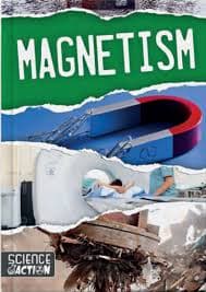 Magnetism by Joanna Brundle