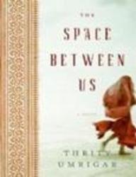 The Space Between Us by Thrity N. Umrigar