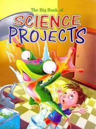 The Big Book of Science Projects by Dhingra'S