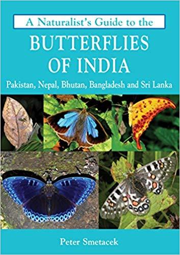 butterflies of India by Peter Smetacek