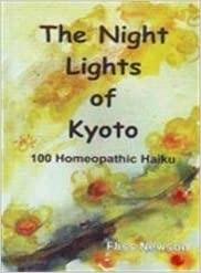 the night lights of kyoto by Fliss Newson