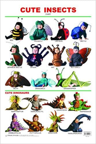 Cute Insects by Dreamland Publication