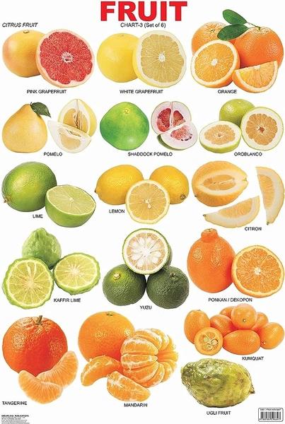FRUIT CHARTS - 3 by Dreamland Publication
