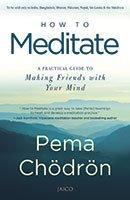 How to Meditate by Pema Chodron