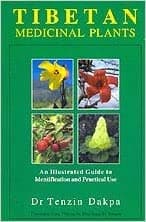 Tibetan Medicinal Plants by Tenzin Dakpa