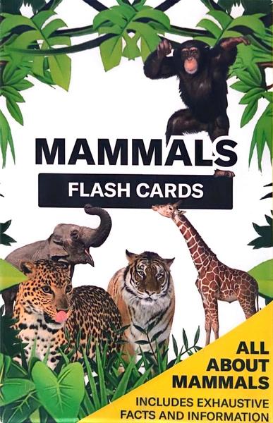 Mammals Flash Cards by Kids Newspaper