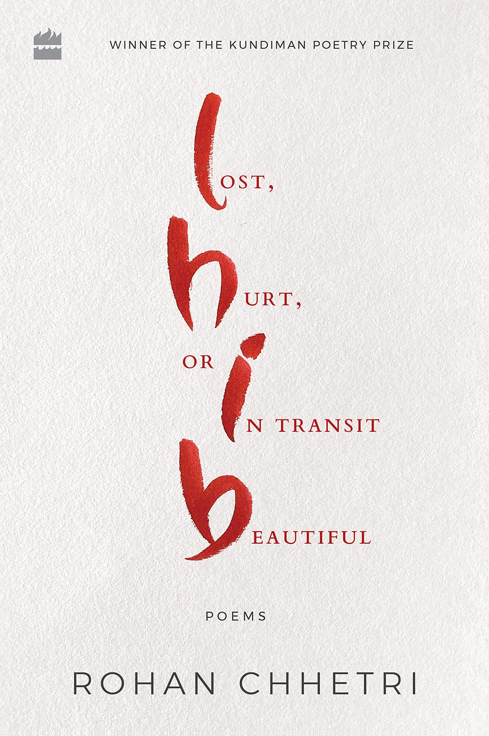 Lost, Hurt, or in Transit Beautiful by Rohan Chhetri