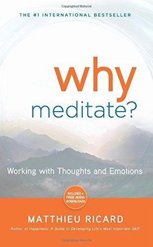 Why Meditate? by Matthieu Ricard