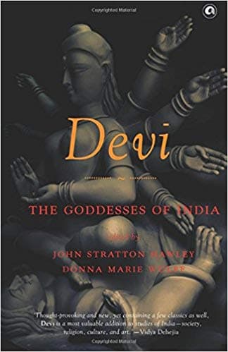 DEVI: The Goddesses of India by John Stratton Hawley